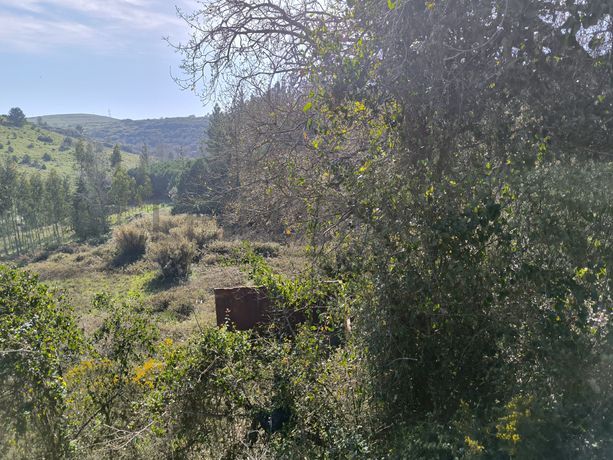 Terreno · Arruda dos Vinhos, Lisboa