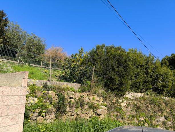 Terreno · Arruda dos Vinhos, Lisboa