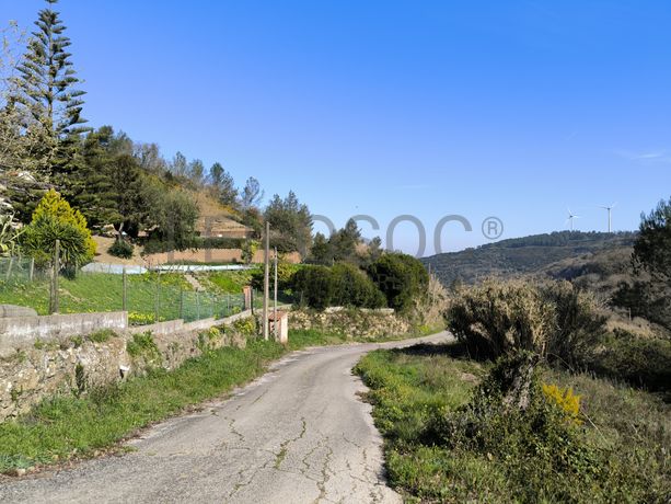 Terreno · Arruda dos Vinhos, Lisboa