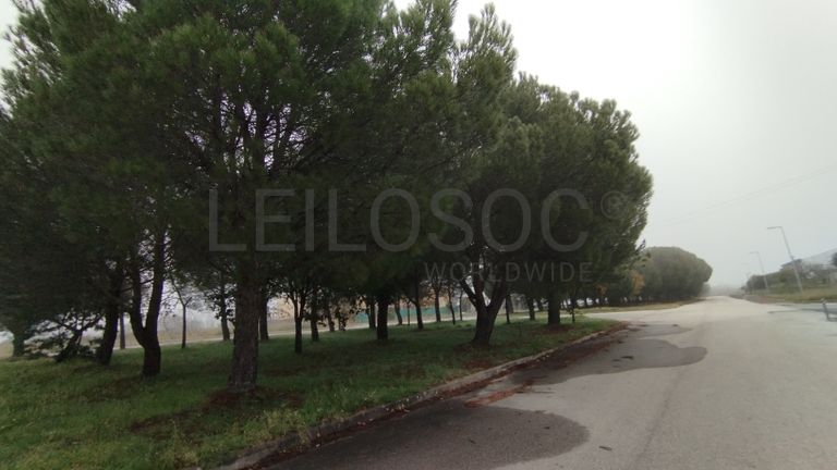 Lote para Construção · Idanha-a-Nova, Castelo Branco