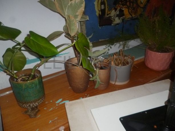 Mobiliário Diverso · Artigos Decorativos · Eletrodoméstico