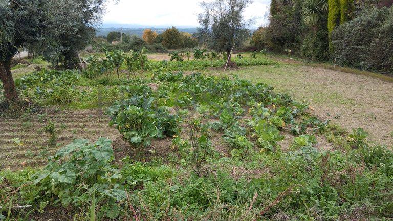 Moradia · Santa Comba Dão