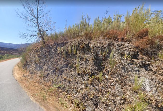 Terrenos · Gouveia · Oleiros · Figueiró dos Vinhos · Torres Novas