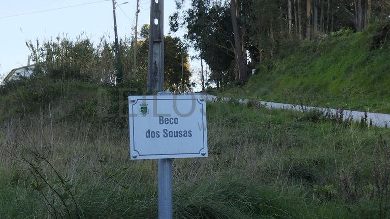 Terreno · Alcobaça