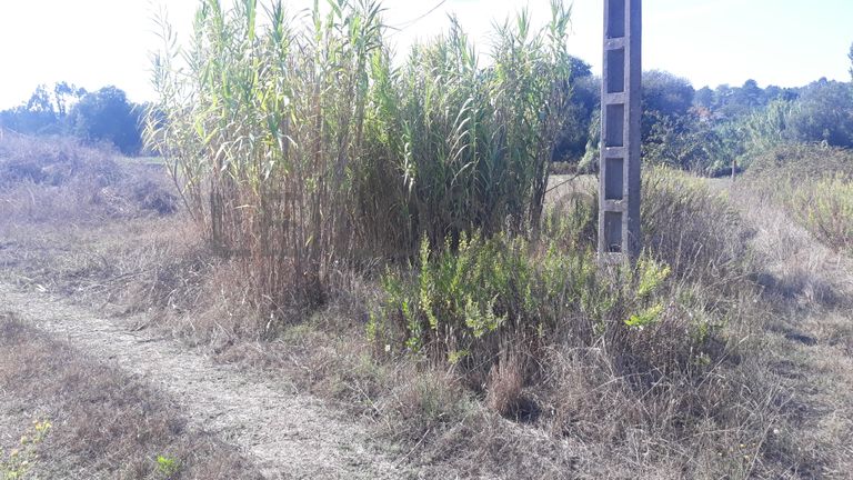 Terreno · Marinha Grande