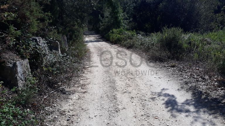 Terreno · Marinha Grande