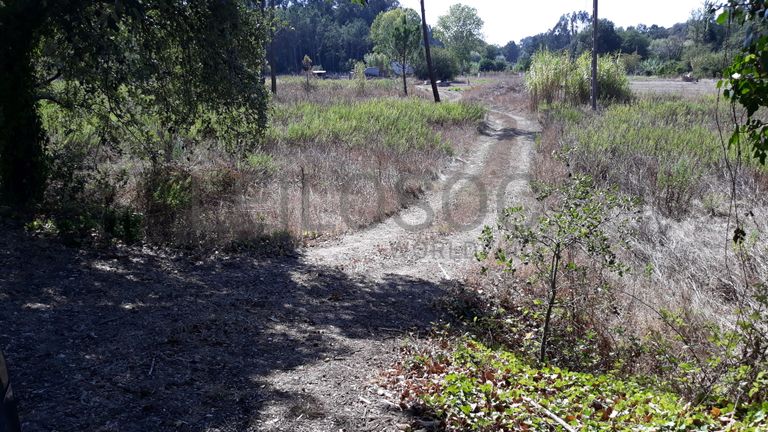 Terreno · Marinha Grande
