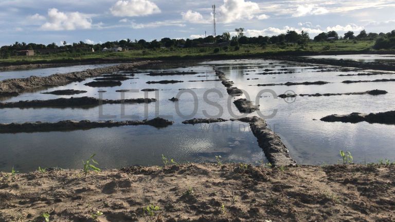 Infraestruturas em Terreno