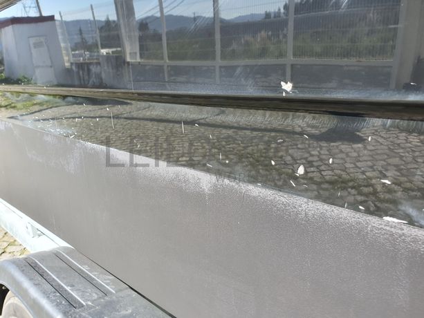 Embarcação Bayliner Element XR7 · Reboque Top Trailer