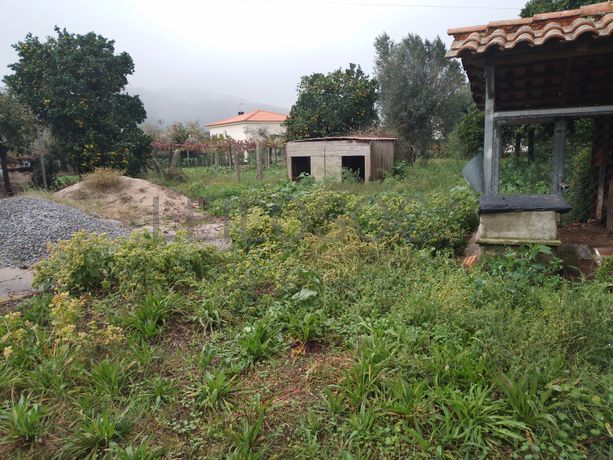 Moradia para Recuperação · Ponte de Lima