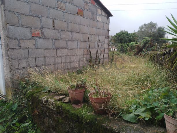 Moradia para Recuperação · Ponte de Lima