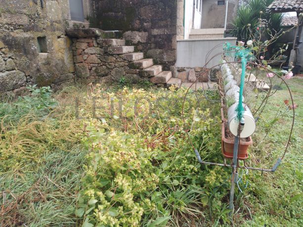 Moradia para Recuperação · Ponte de Lima