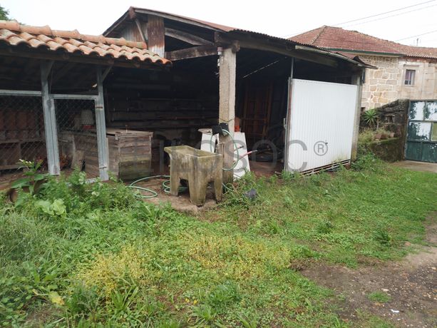 Moradia para Recuperação · Ponte de Lima