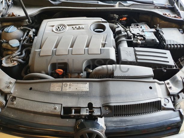 Volkswagen Golf 1.6 TDI · Ano 2011