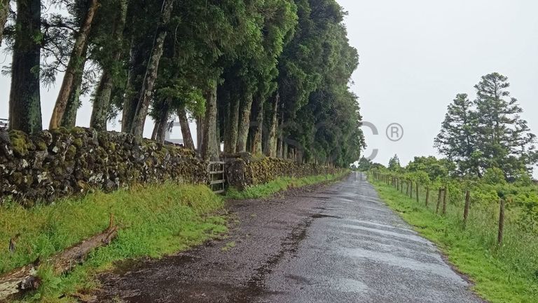 Quinhão Hereditário · Angra do Heroísmo, Açores