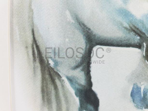 Aguarela · Paulo Violante