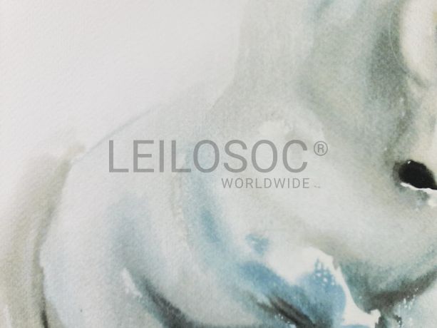 Aguarela · Paulo Violante