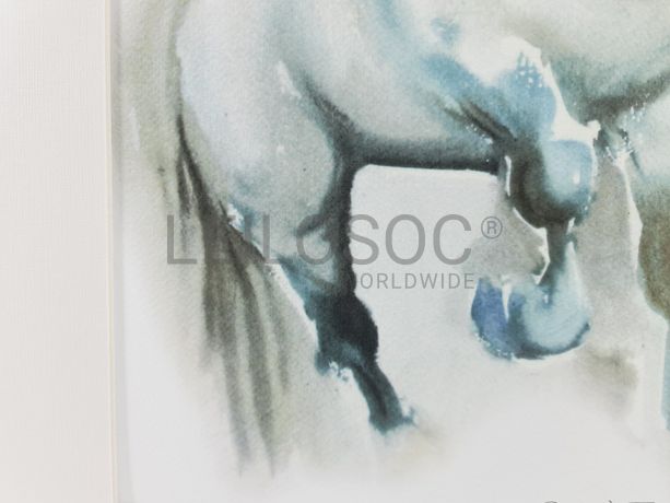 Aguarela · Paulo Violante