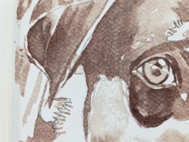 Aguarela · Paulo Violante