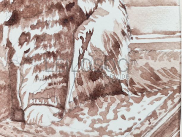 Aguarela · Paulo Violante