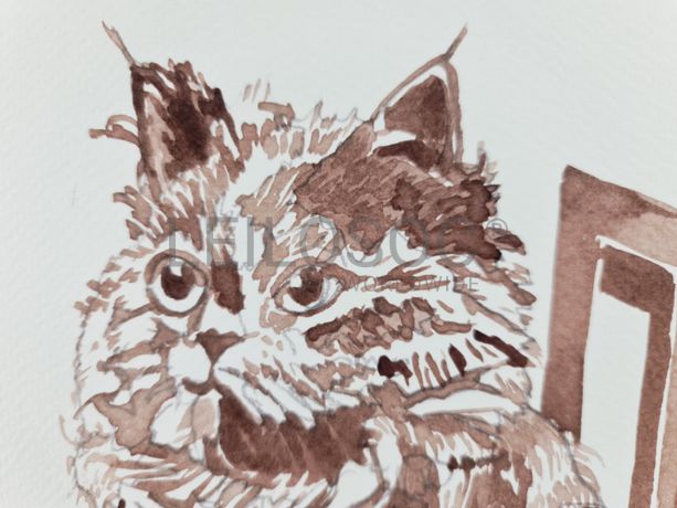 Aguarela · Paulo Violante