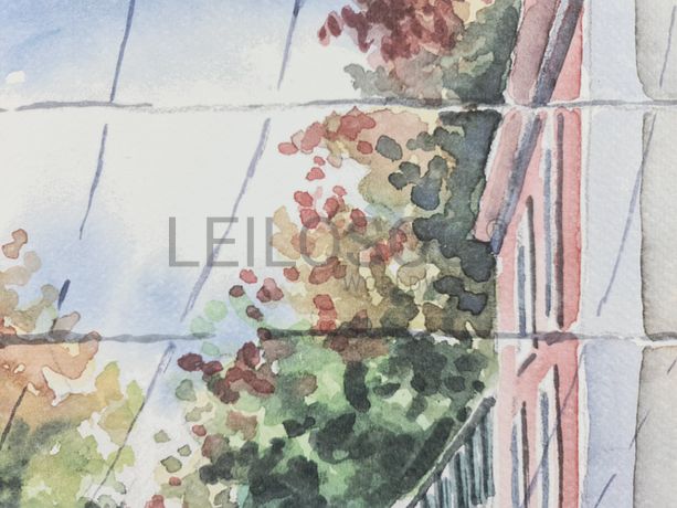 Aguarela · Paulo Violante