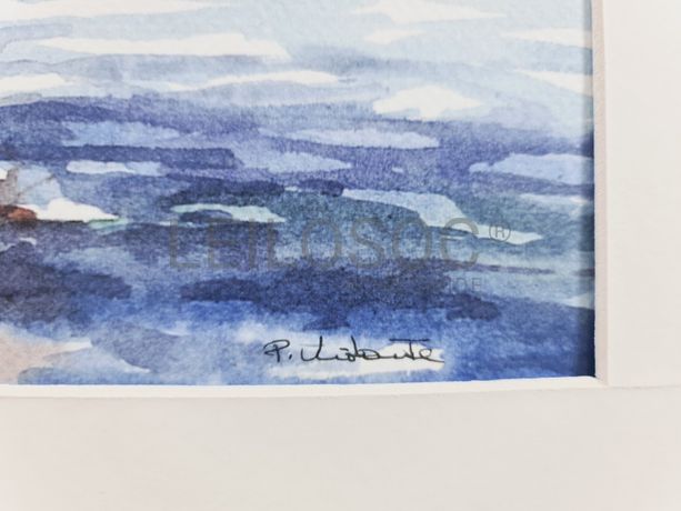 Aguarela · Paulo Violante