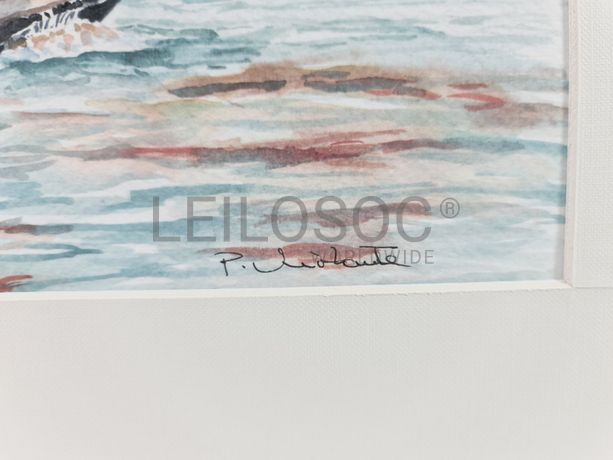 Aguarela · Paulo Violante