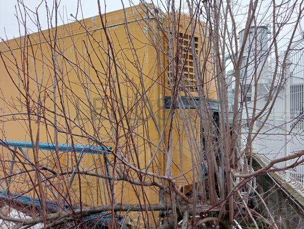 Contentor frigorífico