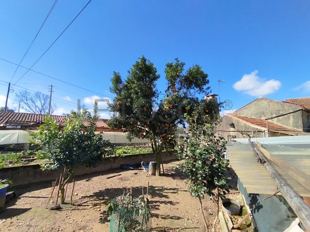 Edifício Agrícola · Ovar