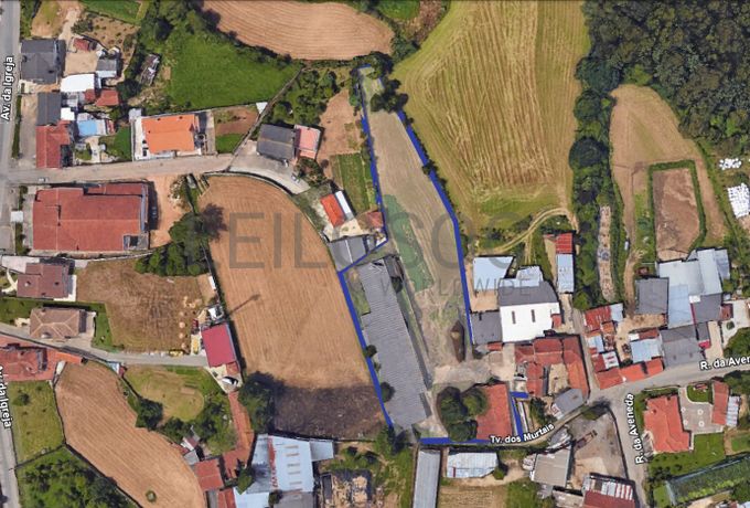 Edifício Agrícola · Ovar