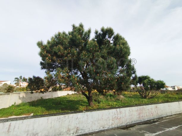 Moradia V5 · Esmoriz, Ovar