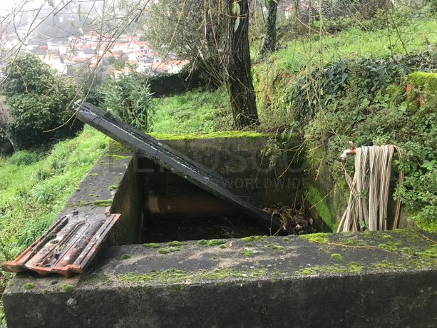 Quinhão Hereditário · Amarante