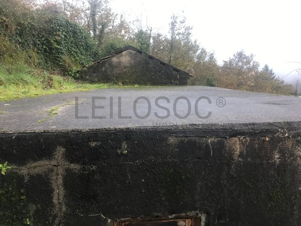 Quinhão Hereditário · Amarante