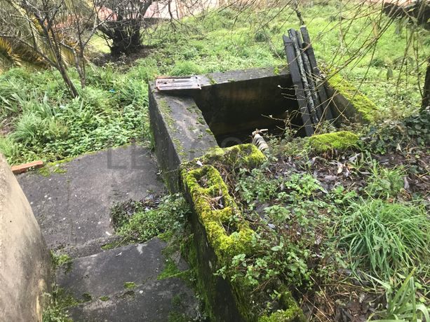 Quinhão Hereditário · Amarante