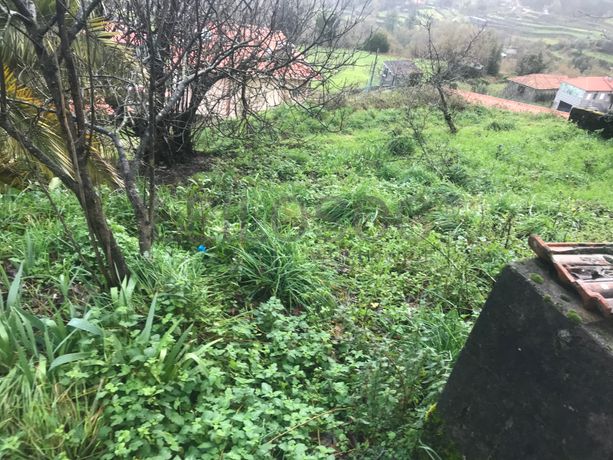 Quinhão Hereditário · Amarante