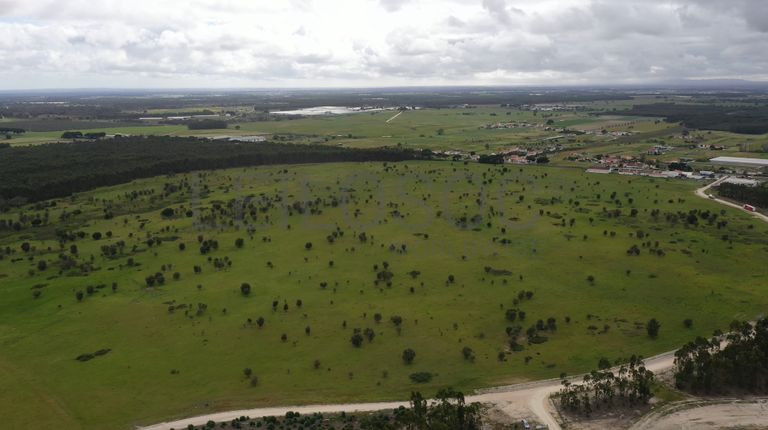 Terreno c/ 52,3 ha · Montijo