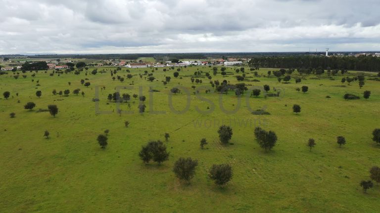Terreno c/ 52,3 ha · Montijo