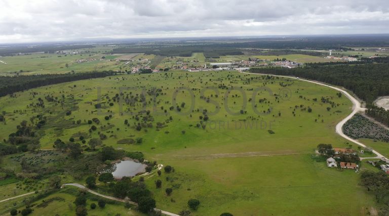 Terreno c/ 52,3 ha · Montijo