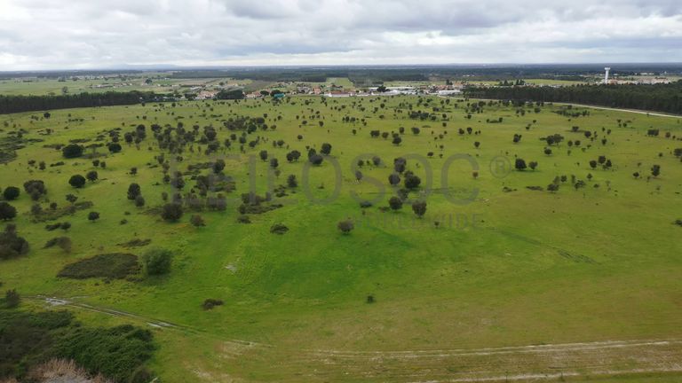 Terreno c/ 52,3 ha · Montijo