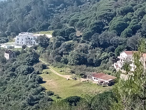 Terreno c/ 3,5 hectares · Sesimbra