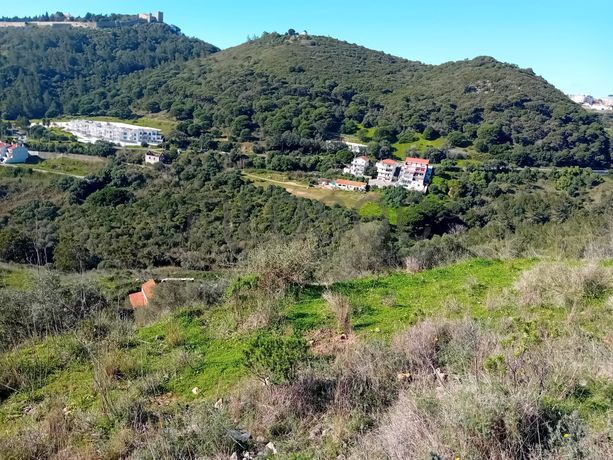 Terreno c/ 3,5 hectares · Sesimbra