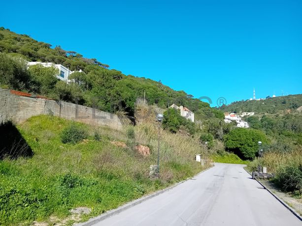 Terreno c/ 3,5 hectares · Sesimbra