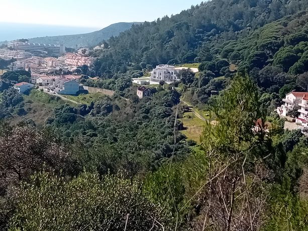 Terreno c/ 3,5 hectares · Sesimbra