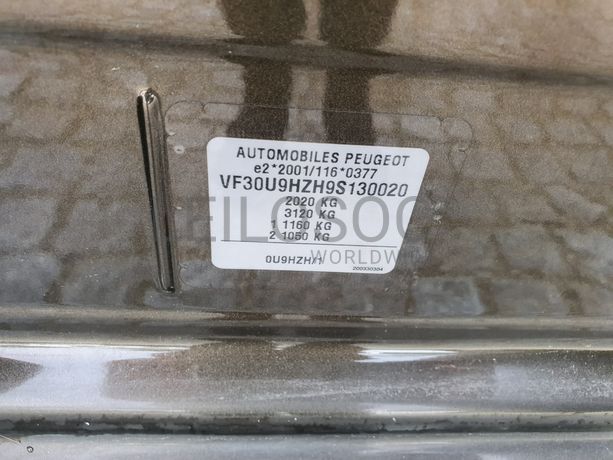 Peugeot 3008 · Ano 2009