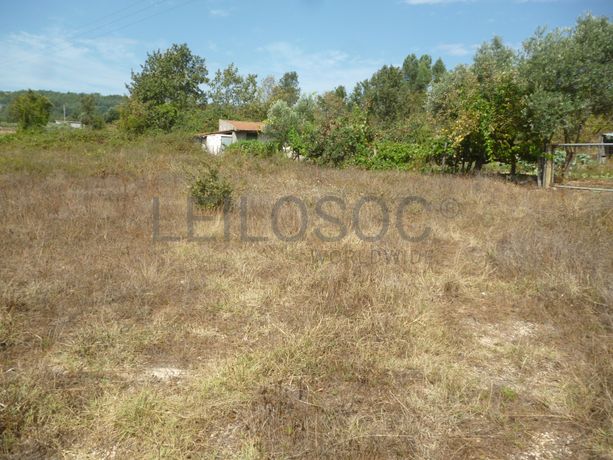 Lote para Construção · Vila Franca das Neves, Trancoso