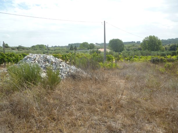 Lote para Construção · Vila Franca das Neves, Trancoso