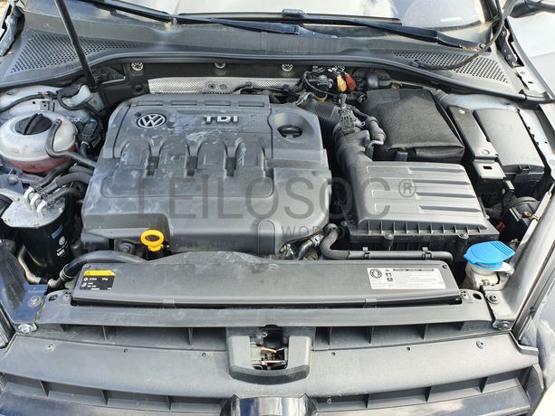 Volkswagen Golf · Ano 2009