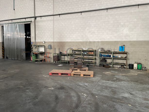 Ferramentas · Transportadores