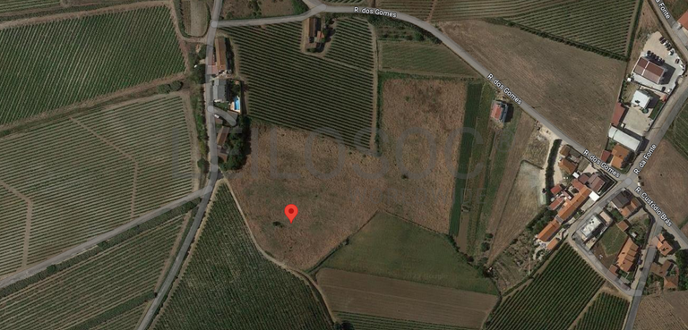 Terreno · Torres Vedras